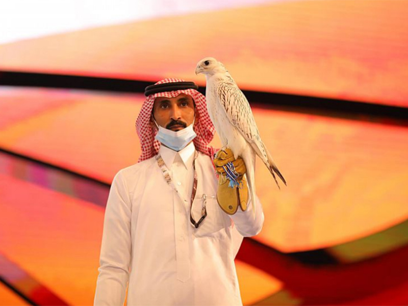 صقر كندي نادر الجمال يُباع بأكثر من 90 ألف دولار بمزاد دولي في السعودية